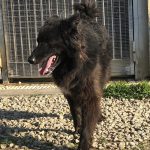 Nera, foto 2