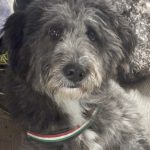 Nina, foto 2
