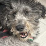 Nina, foto 4