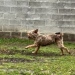 Franco, foto 3