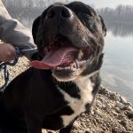 Duster, foto 2