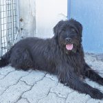 Nerone, foto 2