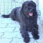 Nerone, foto 3